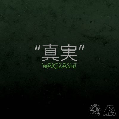 Shinjitsu slim WAKIZASI COVER FT