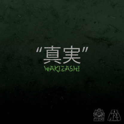 Shinjitsu slim WAKIZASI COVER FT